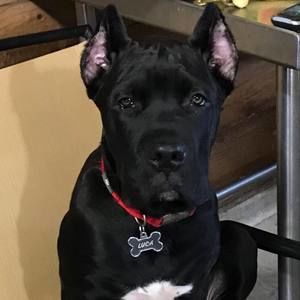 Meet your Posher, Lori